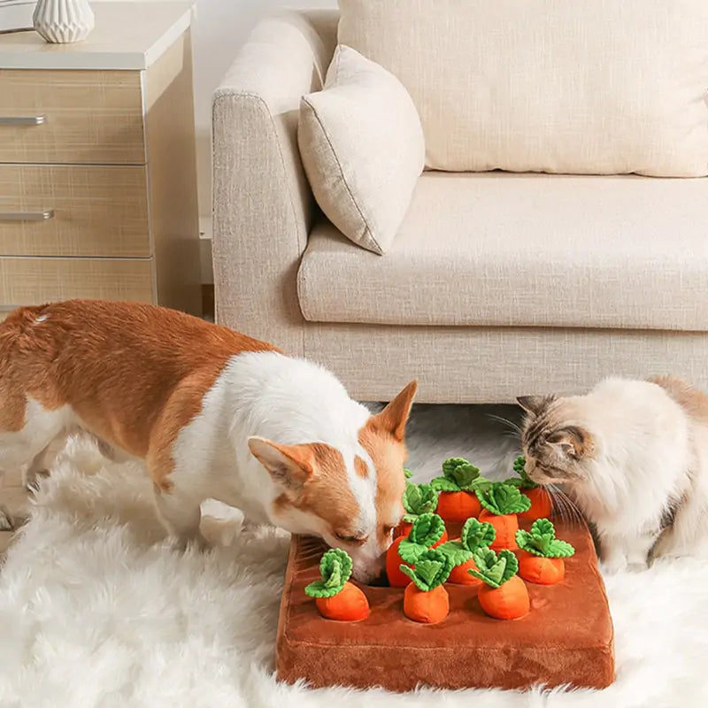 Vegetable Chew Pet Toy