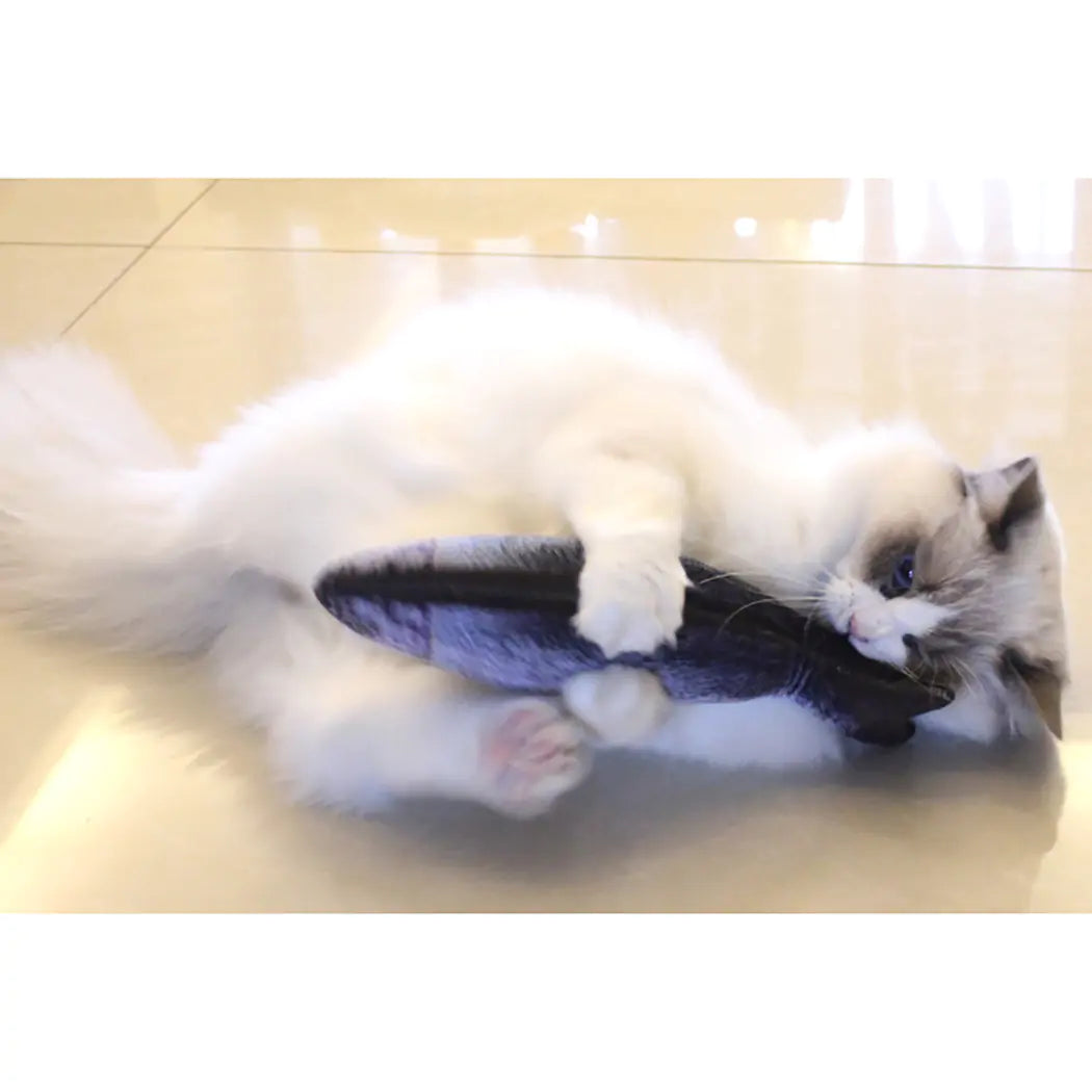 Creative Fish Shape Pet Toy