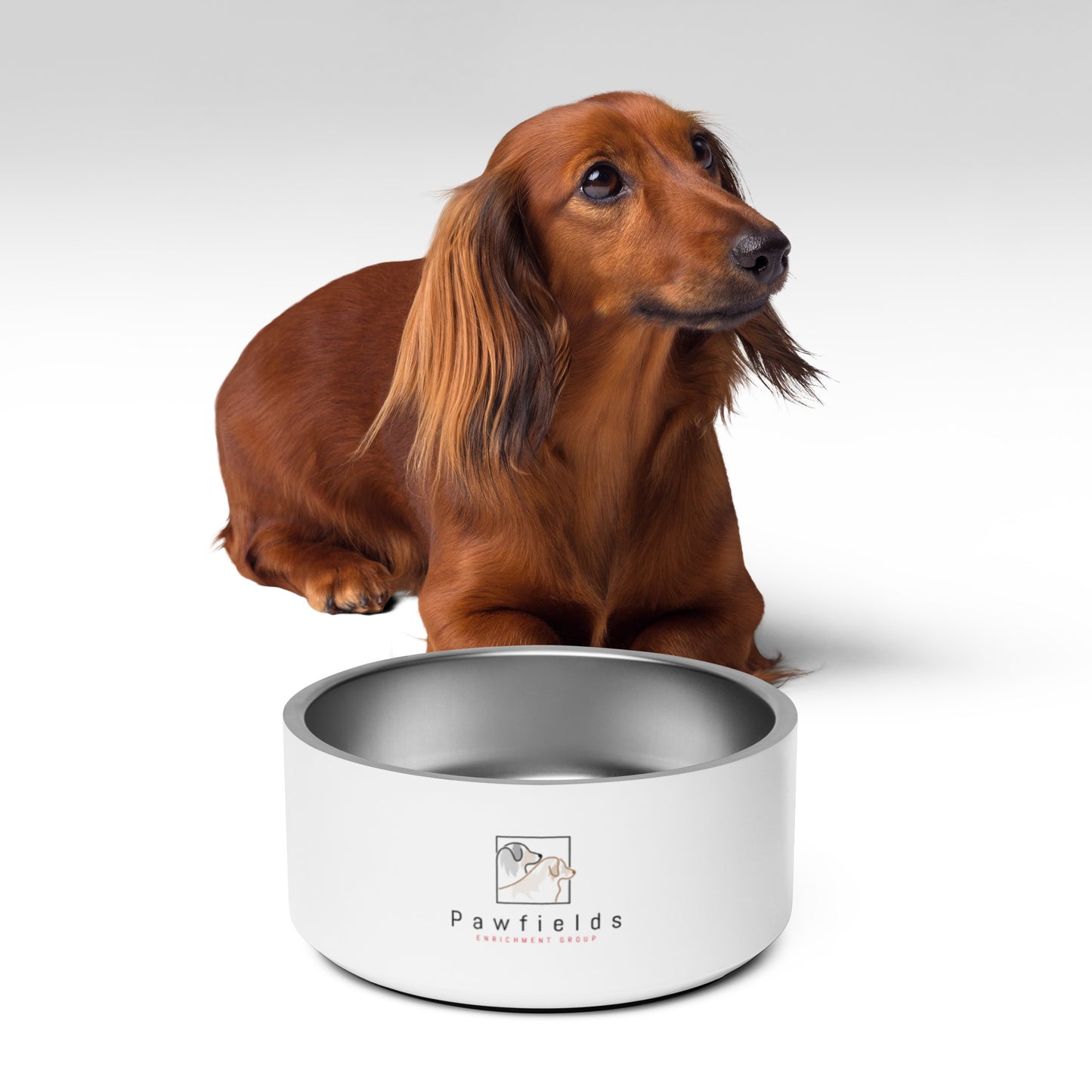 Pawfields Pet Bowl