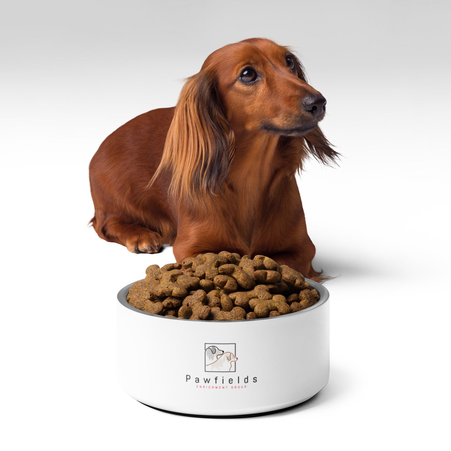 Pawfields Pet Bowl