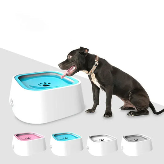 Large Capacity Anti-Overflow Pet Water Dispenser