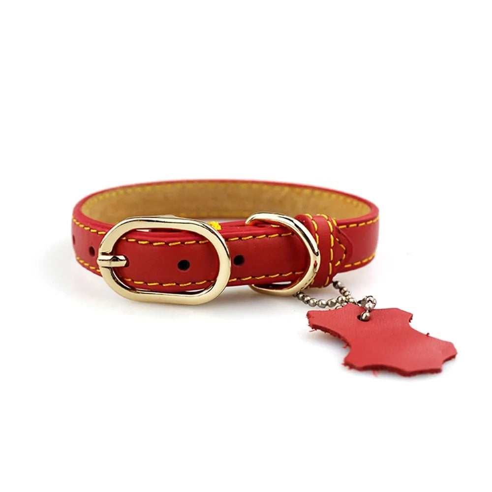 Personalized Genuine Leather Dog Collar